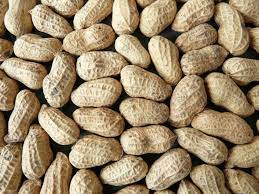 Organic ground nut